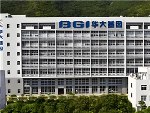 华大基因